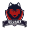 CF3 - Escudo AGU