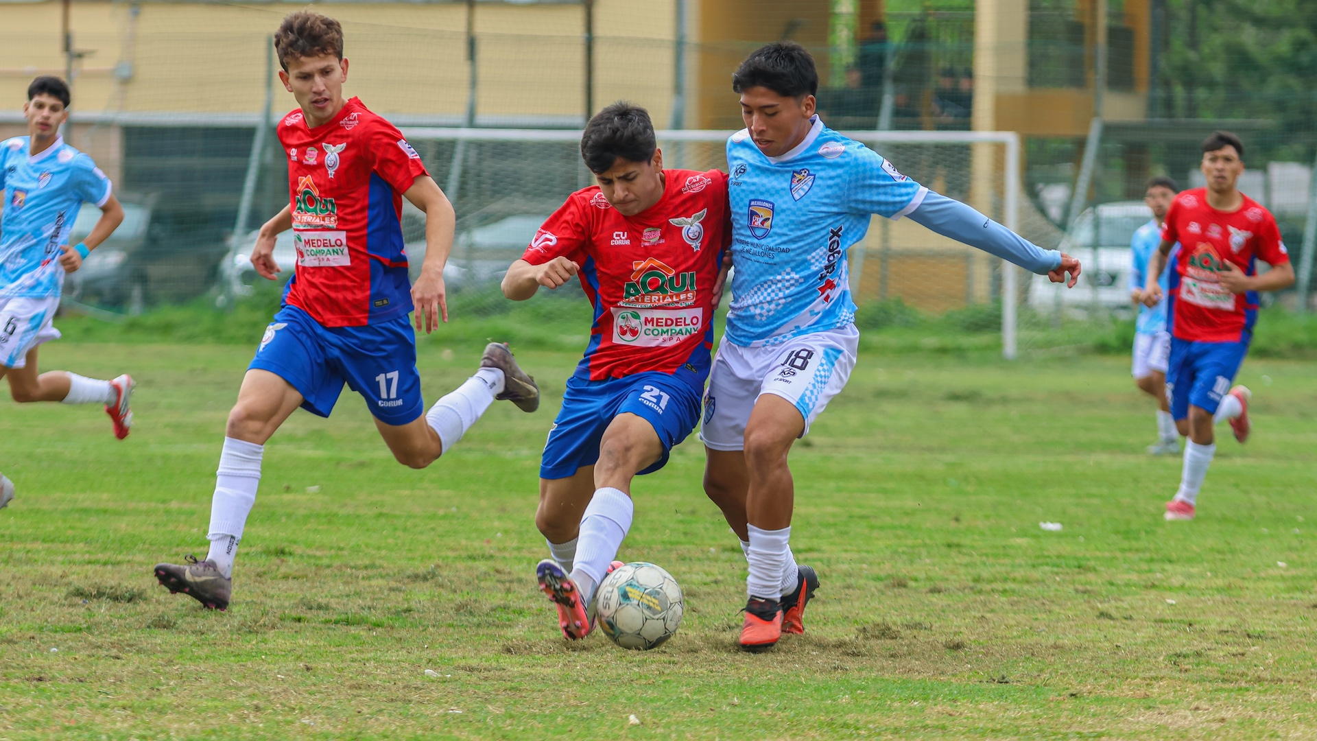 Tricolor de Paine - Tercera B Norte 2026